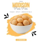 Premium Quality Pani Puri | MODISON - Image 2