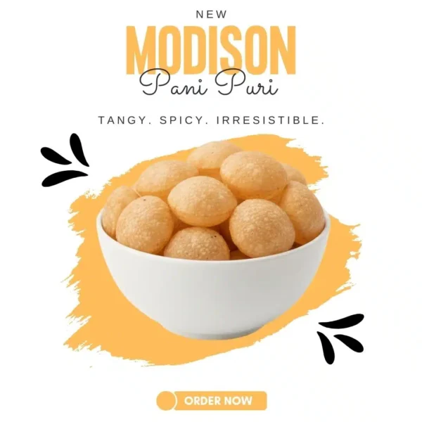 Premium Quality Pani Puri | MODISON - Image 2